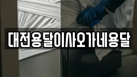 대전용달이사오가네용달