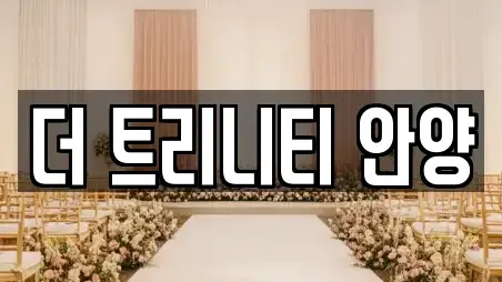 더 트리니티 안양