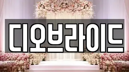 디오브라이드