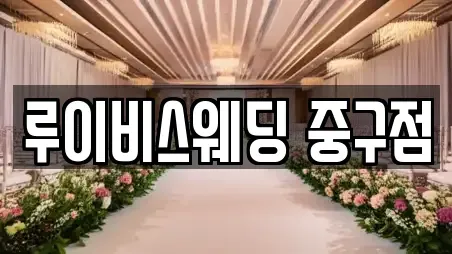 루이비스웨딩 중구점