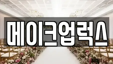 메이크업럭스