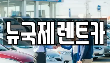 부산광역시 동래구 안락동 렌트카 전문 뉴국제렌트카
