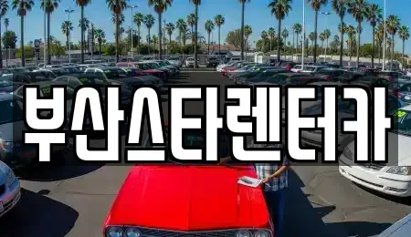 부산광역시 동래구 안락동 렌트카 전문 부산스타렌터카