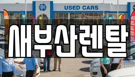 부산광역시 동래구 안락동 렌트카 전문 새부산렌탈