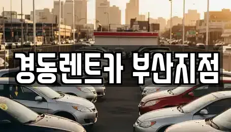 부산광역시 동래구 안락동 장기렌트카 전문 경동렌트카 부산지점
