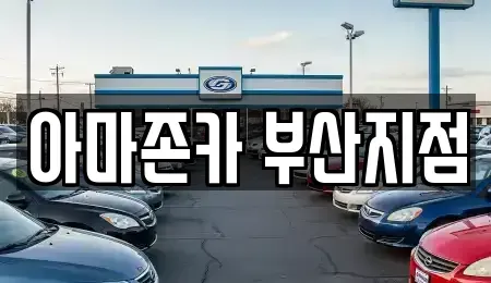부산광역시 동래구 안락동 장기렌트카 전문 아마존카 부산지점