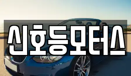 부산광역시 동래구 안락동 중고차 전문 신호등모터스