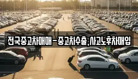 부산광역시 동래구 안락동 중고차 전문 전국중고차매매-중고차수출,사고노후차매입