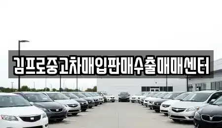 부산광역시 동래구 안락동 중고차매입 전문 김프로중고차매입판매수출매매센터