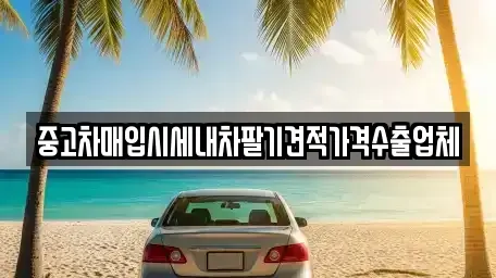 부산광역시 동래구 안락동 중고차매입 전문 중고차매입시세내차팔기견적가격수출업체