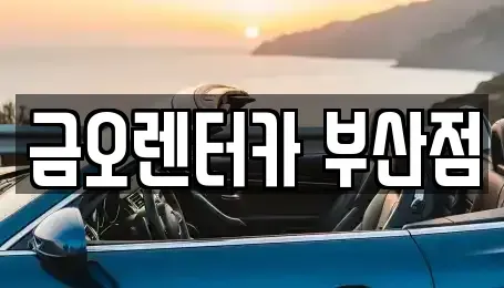 부산광역시 부산진구 부전동 장기렌트카 전문 금오렌터카 부산점