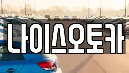 부산광역시 부산진구 부전동 장기렌트카 전문 나이스오토카