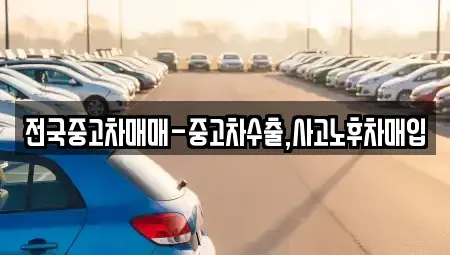 부산광역시 부산진구 부전동 중고차매입 전문 전국중고차매매-중고차수출,사고노후차매입
