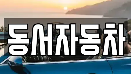 부산광역시 서구 토성동4가 중고차 전문 동서자동차