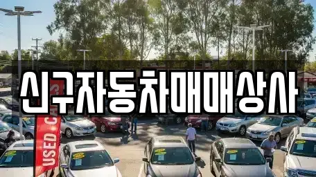 부산광역시 서구 토성동4가 중고차 전문 신구자동차매매상사