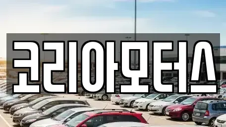 부산광역시 서구 토성동4가 중고차 전문 코리아모터스