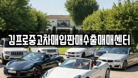 부산광역시 서구 토성동4가 중고차매입 전문 김프로중고차매입판매수출매매센터