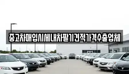 부산광역시 서구 토성동4가 중고차매입 전문 중고차매입시세내차팔기견적가격수출업체