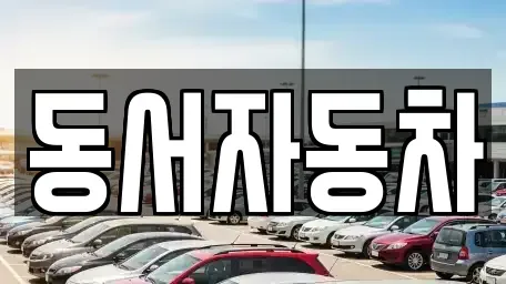 부산광역시 영도구 봉래동4가 중고차 전문 동서자동차