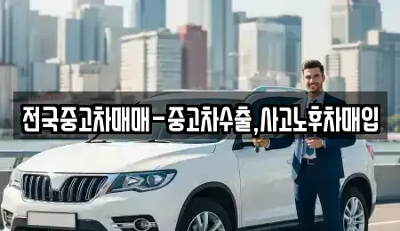 부산광역시 영도구 봉래동4가 중고차 전문 전국중고차매매-중고차수출,사고노후차매입