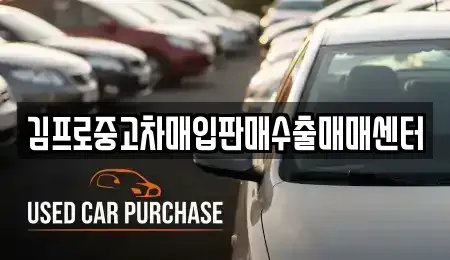 부산광역시 영도구 봉래동4가 중고차매입 전문 김프로중고차매입판매수출매매센터