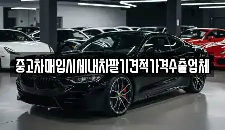 부산광역시 영도구 봉래동4가 중고차매입 전문 중고차매입시세내차팔기견적가격수출업체