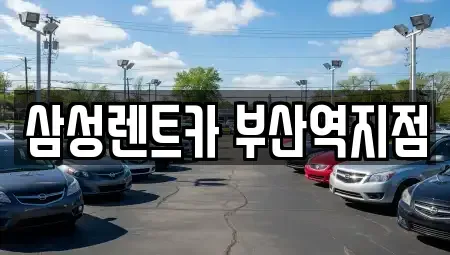 부산광역시 중구 대청동4가 렌트카 전문 삼성렌트카 부산역지점