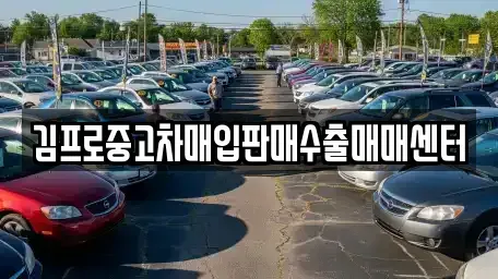 부산광역시 중구 대청동4가 중고차 전문 김프로중고차매입판매수출매매센터