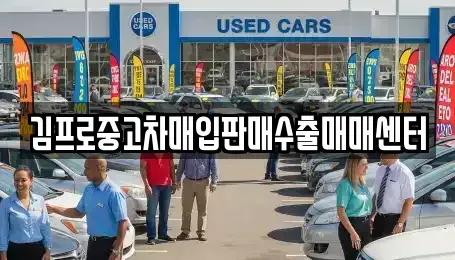 부산광역시 중구 보수동3가 중고차매매 전문 김프로중고차매입판매수출매매센터