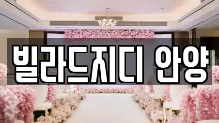 빌라드지디 안양