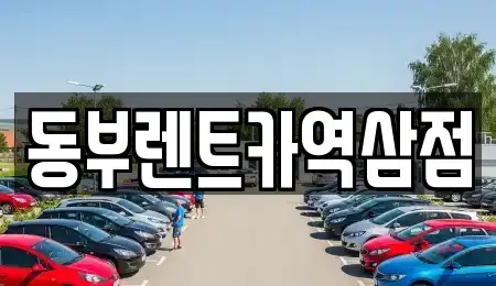 서울 강남구 도곡동 렌트카 전문 동부렌트카역삼점