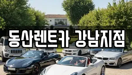 서울 강남구 도곡동 렌트카 전문 동산렌트카 강남지점