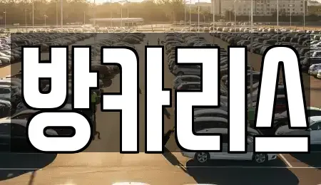 서울 강남구 도곡동 장기렌트카 전문 방카리스