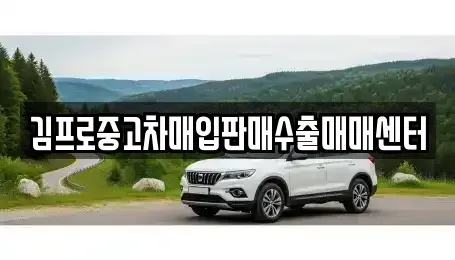 서울 강남구 도곡동 중고차매매 전문 김프로중고차매입판매수출매매센터