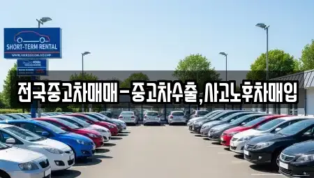 서울 강남구 도곡동 중고차매매,단기렌트카,중고차매입,장기렌트카,중고차,렌트카