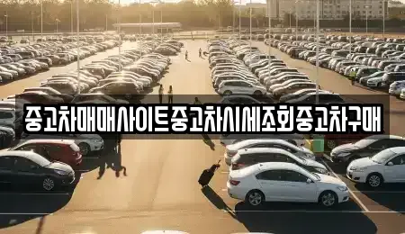 서울 강남구 도곡동 중고차매매 전문 중고차매매사이트중고차시세조회중고차구매