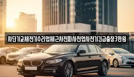 서울 강남구 도곡동 중고차매입 전문 차단기교체전기수리업체근처전파사전업사전기긴급출장3만원