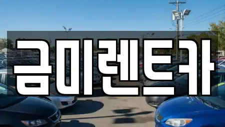 서울 마포구 구수동 렌트카 전문 금미렌트카