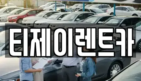 서울 마포구 구수동 렌트카 전문 티제이렌트카