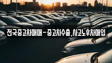 서울 마포구 구수동 중고차매입 전문 전국중고차매매-중고차수출,사고노후차매입