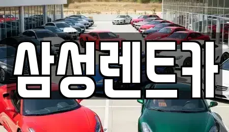 서울 서초구 렌트카 전문 삼성렌트카