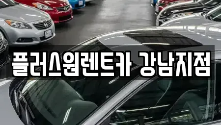 서울 서초구 렌트카 전문 플러스원렌트카 강남지점