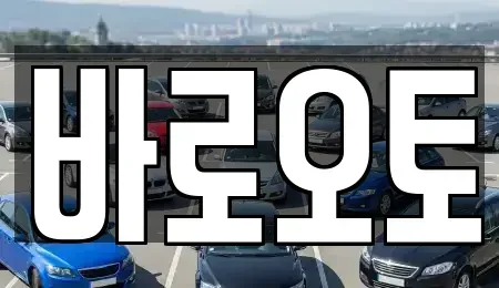 서울 서초구 중고차매매,단기렌트카,중고차매입,장기렌트카,중고차,렌트카