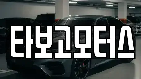 서울 서초구 중고차매매 전문 타보고모터스