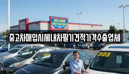 서울 서초구 중고차매입 전문 중고차매입시세내차팔기견적가격수출업체