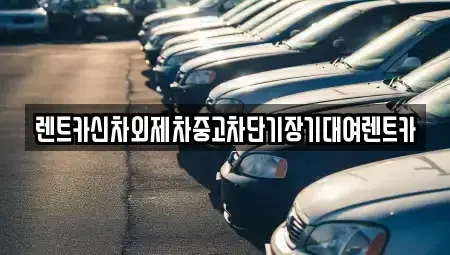서울 용산구 동빙고동 렌트카 전문 렌트카신차외제차중고차단기장기대여렌트카