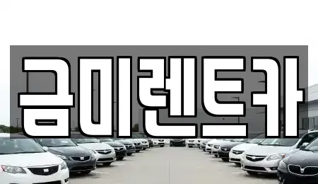 서울 종로구 창성동 렌트카 전문 금미렌트카