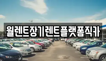 서울 종로구 창성동 장기렌트카 전문 월렌트장기렌트플랫폼직카