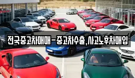 서울 종로구 창성동 중고차 전문 전국중고차매매-중고차수출,사고노후차매입