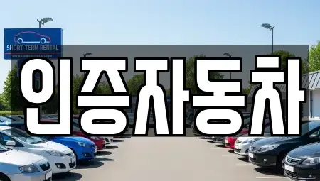 서울특별시 강남구 일원동 중고차매매 전문 인증자동차